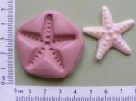 S.forma - morská hviezdica č.2